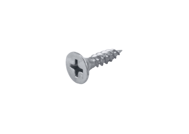 HDD schroef voor paumelle 4x20mm nikkel